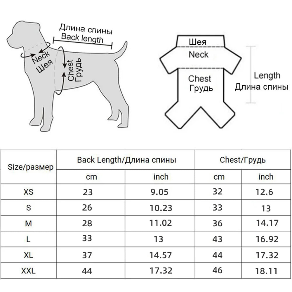 Capa de Chuva Impermeável para Pets com Capuz – Proteção e Conforto em Dias Chuvosos ☔🐾