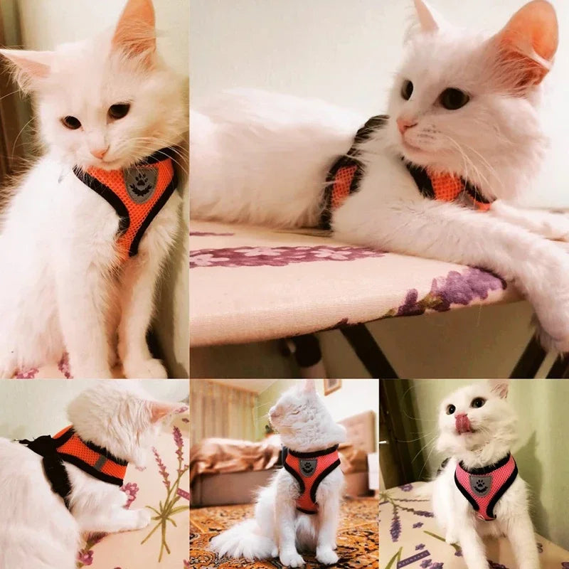 Peitoral Ajustável com Guia para Cães e Gatos – Conforto e Segurança nos Passeios ✨🐾