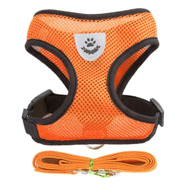 Peitoral Ajustável com Guia para Cães e Gatos – Conforto e Segurança nos Passeios ✨🐾