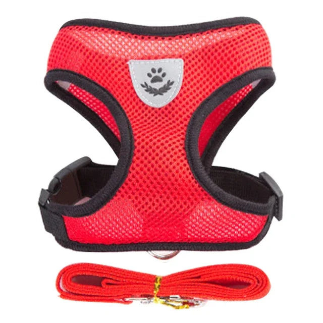 Peitoral Ajustável com Guia para Cães e Gatos – Conforto e Segurança nos Passeios ✨🐾