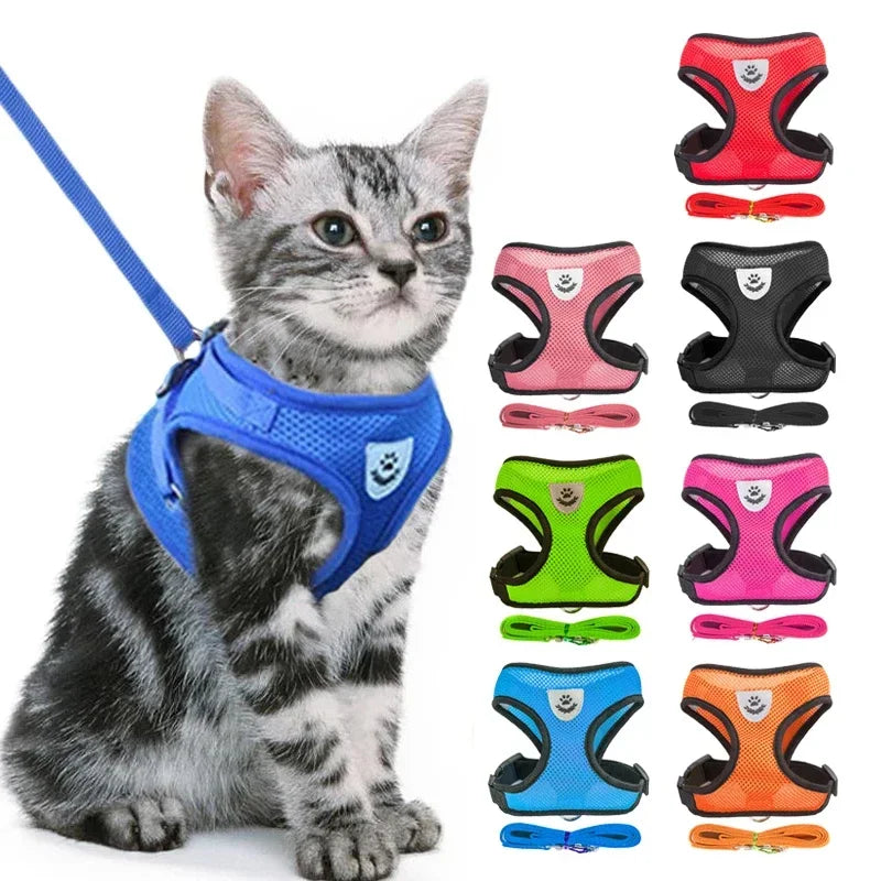 Peitoral Ajustável com Guia para Cães e Gatos – Conforto e Segurança nos Passeios ✨🐾