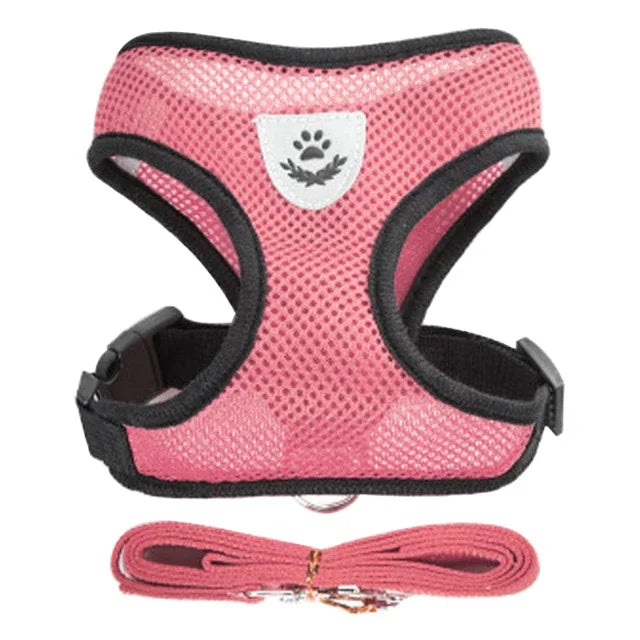 Peitoral Ajustável com Guia para Cães e Gatos – Conforto e Segurança nos Passeios ✨🐾