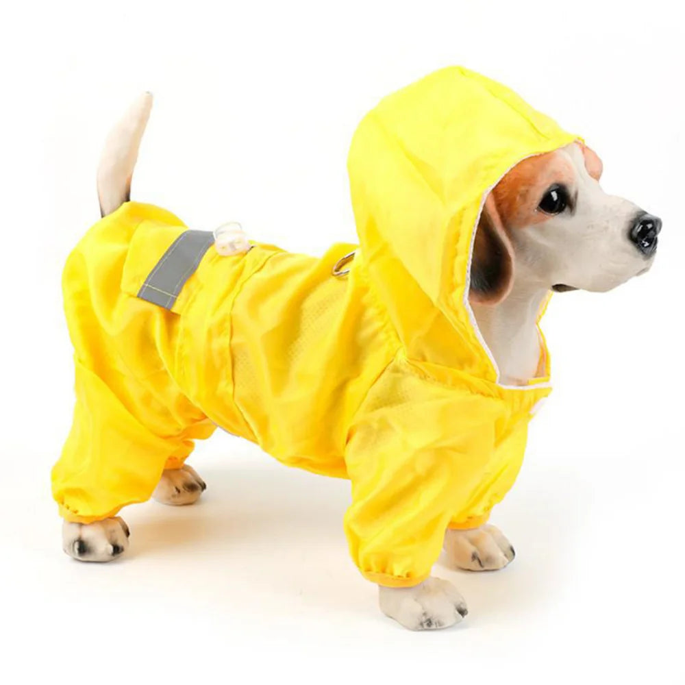 Capa de Chuva Impermeável para Pets com Capuz – Proteção e Conforto em Dias Chuvosos ☔🐾